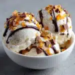 Moose Tracks Protein Ice Cream Recipe