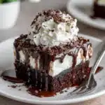 Hot Fudge Chocolate Pudding Cake Recipe