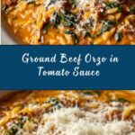 Ground Beef Orzo with Tomato Cream Sauce Recipe