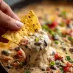 Crock Pot Chicken Nacho Dip Recipe