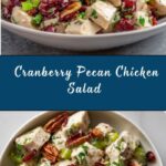 Cranberry Pecan Chicken Salad Recipe